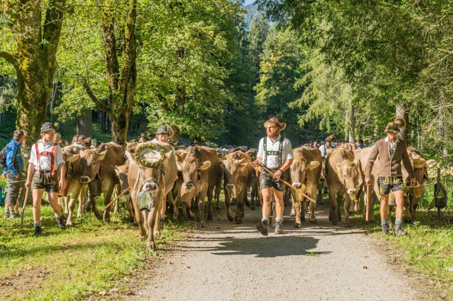 Oberstdorfer Viehscheid 13.09-019