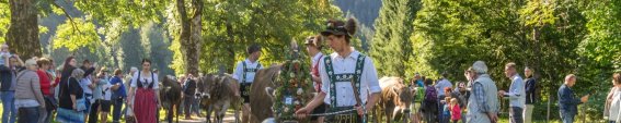 Oberstdorfer Viehscheid 13.09-030