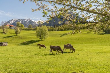 Mai in Oberstdorf 