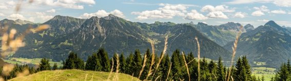 Gaisberg