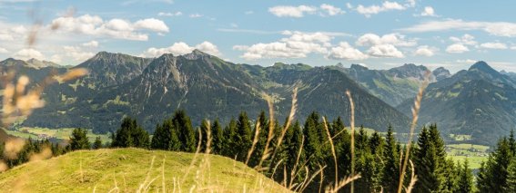 Gaisberg