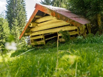 Gaisberg