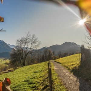 Herbstlicher Spaziergang