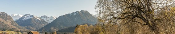 Herbstlicher Spaziergang