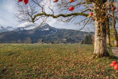 Herbstliche Stimmung am Moorweiher