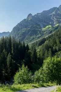 Romantisches Wildental
