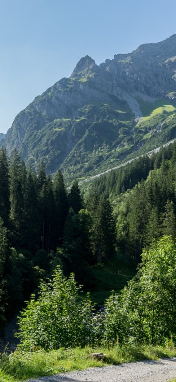 Romantisches Wildental