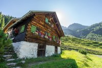 Romantisches Wildental