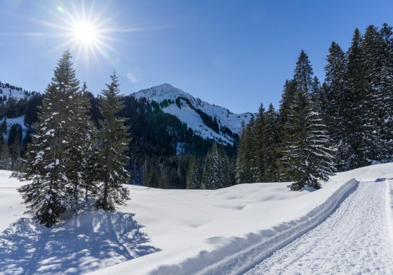 Winterwandern im Schwarzwassertal