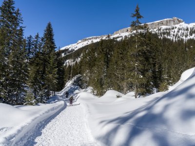 Winterwandern im Schwarzwassertal