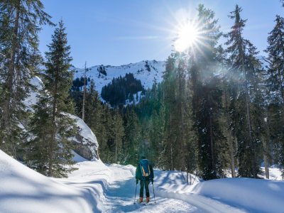 Winterwandern im Schwarzwassertal