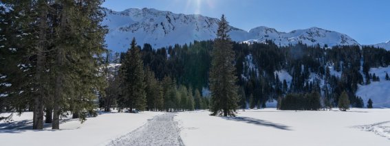 Winterwandern im Schwarzwassertal