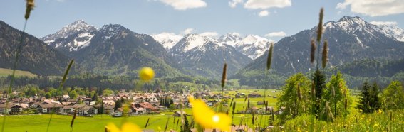 Wonnemonat Mai in Oberstdorf