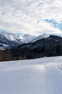Winter Wonderland