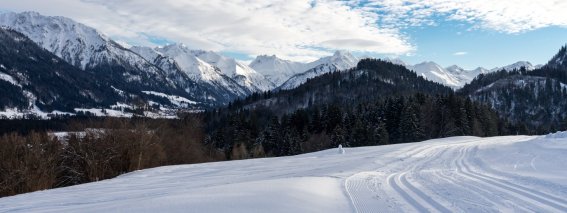 Winter Wonderland