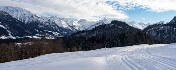 Winter Wonderland