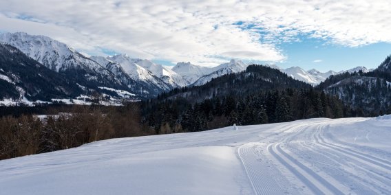 Winter Wonderland