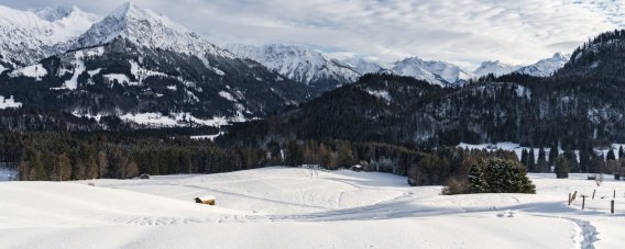 Winter Wonderland