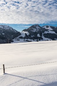 Winter Wonderland