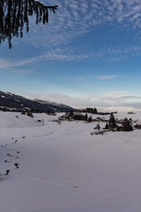 Winter Wonderland