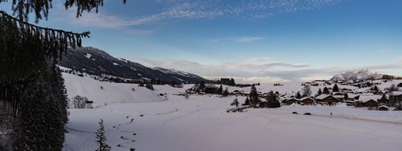 Winter Wonderland