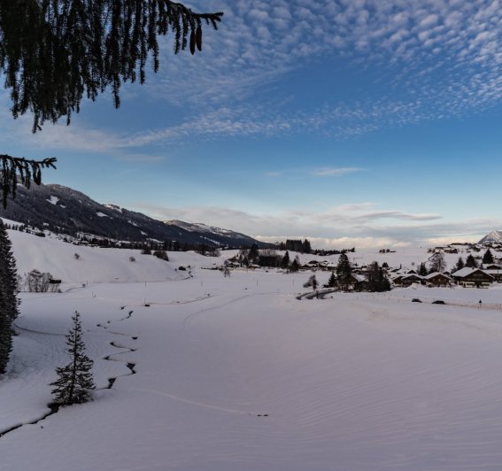 Winter Wonderland