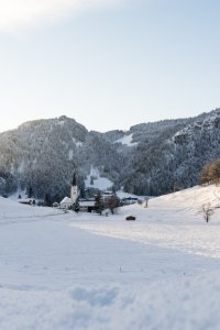 Winter Wonderland