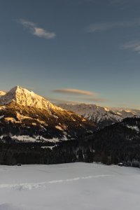 Winter Wonderland