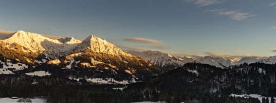 Winter Wonderland