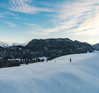 Winter Wonderland