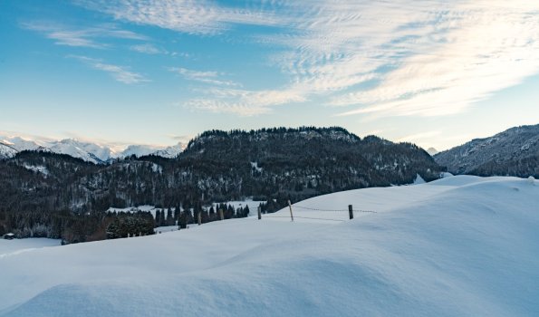 Winter Wonderland