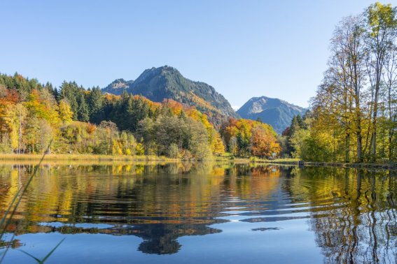Moorweiher im Herbst