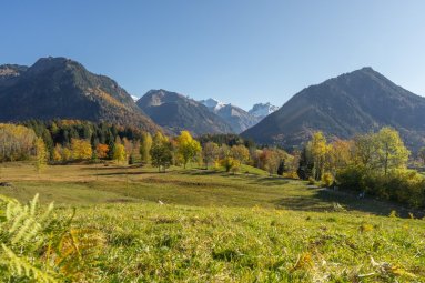 Hofmannsruh im Herbst