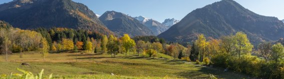 Hofmannsruh im Herbst