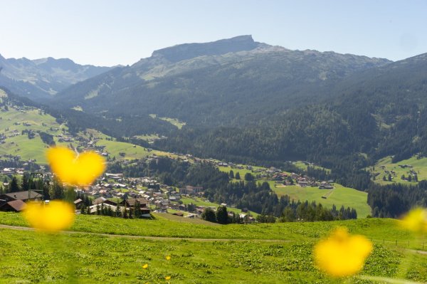 Panoramaweg Söllereck Riezlern
