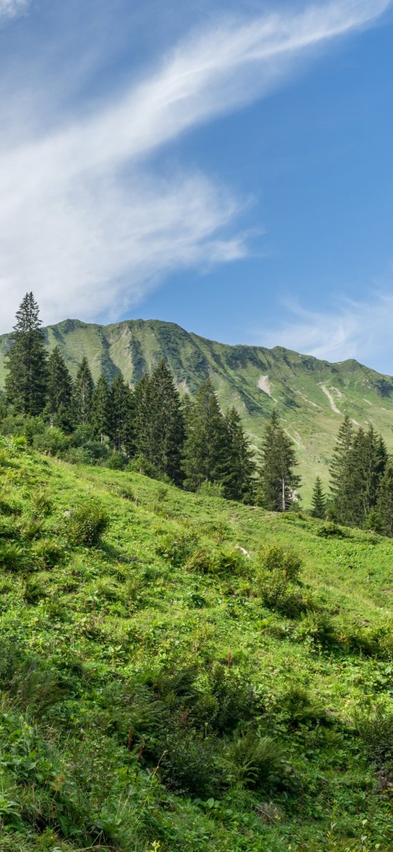 Wanderung durch das Derratal
