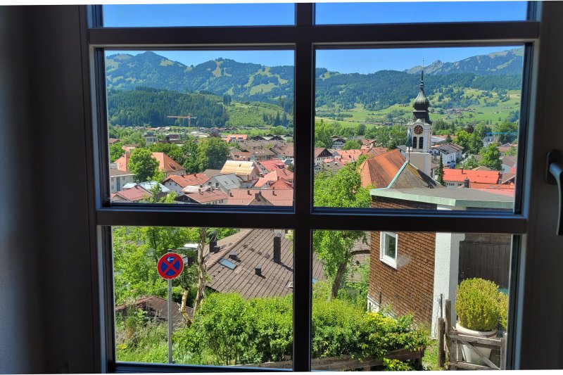 Steinbock Ausblick Sommer