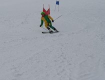 Grauschimmelderby 2026