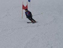 Grauschimmelderby 2026