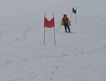 Grauschimmelderby 2026