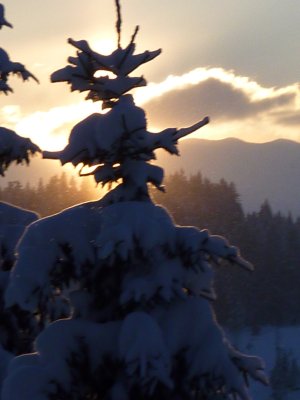 Wannenkopfhütte_Weihnachten