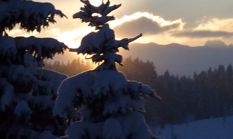 Wannenkopfhütte_Weihnachten