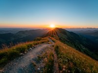 Fotografie Leo Schindzielorz DE Sommer Allgaeu Hochgrat 20220719 A7R01770 org