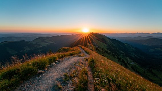 Fotografie Leo Schindzielorz DE Sommer Allgaeu Hochgrat 20220719 A7R01770 org