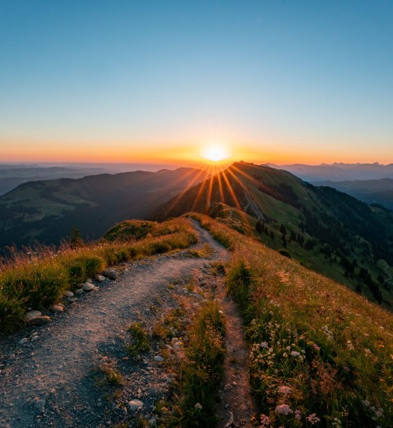 Fotografie Leo Schindzielorz DE Sommer Allgaeu Hochgrat 20220719 A7R01770 org