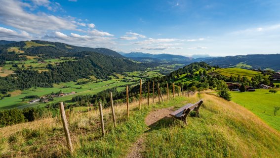 Fotografie Leo Schindzielorz DE Sommer Allgaeu Kapf 20220711 A7R00175 org