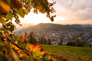 Fotografie Leo Schindzielorz DE Herbst Allgaeu Oberstaufen 20221019 A7300074 org