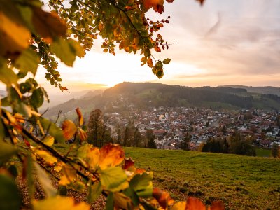 Fotografie Leo Schindzielorz DE Herbst Allgaeu Oberstaufen 20221019 A7300074 org