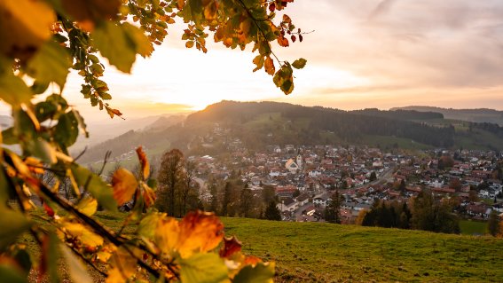 Fotografie Leo Schindzielorz DE Herbst Allgaeu Oberstaufen 20221019 A7300074 org