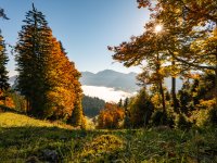 Fotografie Leo Schindzielorz DE Herbst Allgaeu Imberg 20221007 A7300059 org